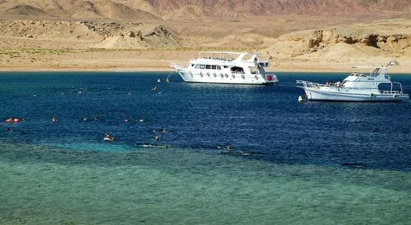 السياحة: إعداد برنامج تدريب للعاملين في أنشطة الغوص ووضع ضوابط منظمة لها