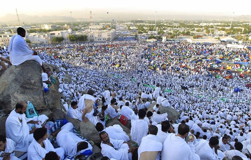 طوارئ في بعثة السياحة استعدادا لتصعيد 41 ألف من حجاج الشركات إلى صعيد عرفات