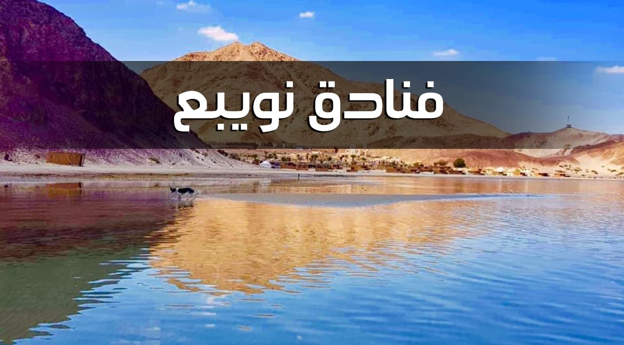 فنادق نوبيع الحاصلة على شهادة السلامة الصحية لإعادة التشغيل