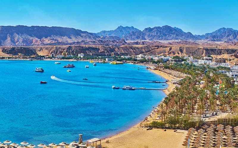 السياحة تمر على 119 مركزا للغوص والأنشطة البحرية ويخوت السفاري بجنوب سيناء لتجديد التراخيص