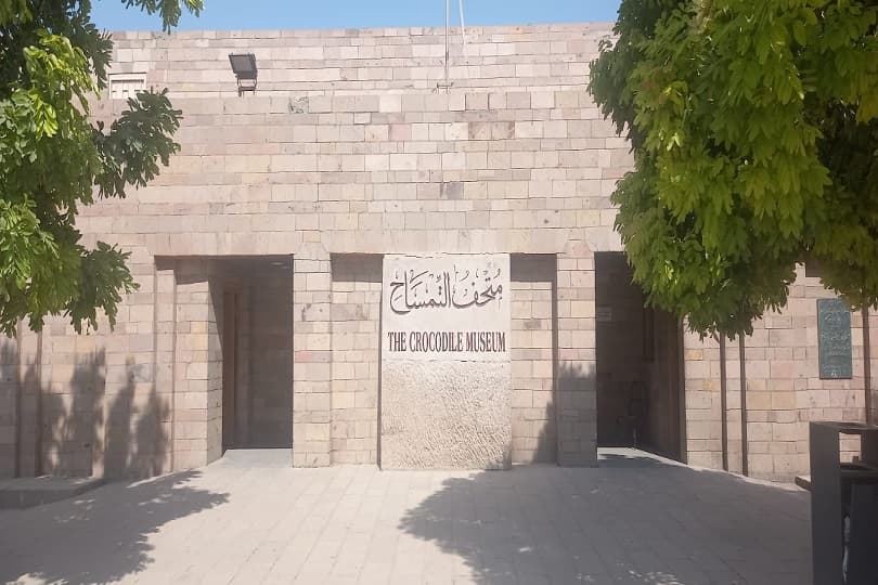 متحف التمساح بأسوان يحتفل بالذكرى الـ12 على افتتاحه