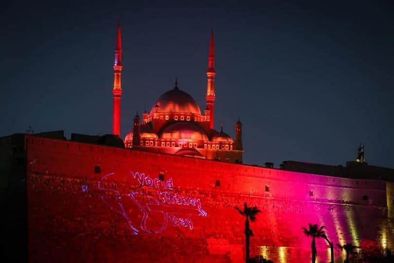إنارة قلعة صلاح الدين الأيوبي باللون الأحمر تزامنا مع اليوم العالمي للكلى.. صور