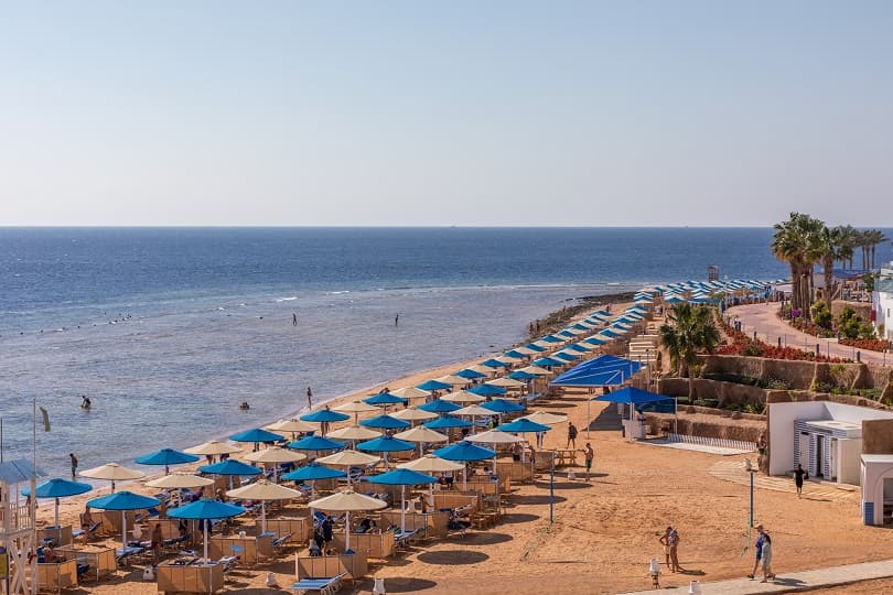 رئيس "مستثمري البحر الأحمر": ارتفاع حركة السياحة الألمانية الوافدة بنسبة 15% في الصيف