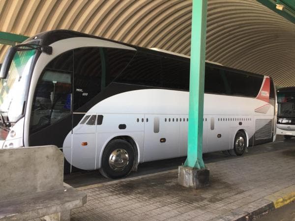 "الطيران" توفر أتوبيسات لنقل المسافرين من مطار برج العرب إلى الإسكندرية