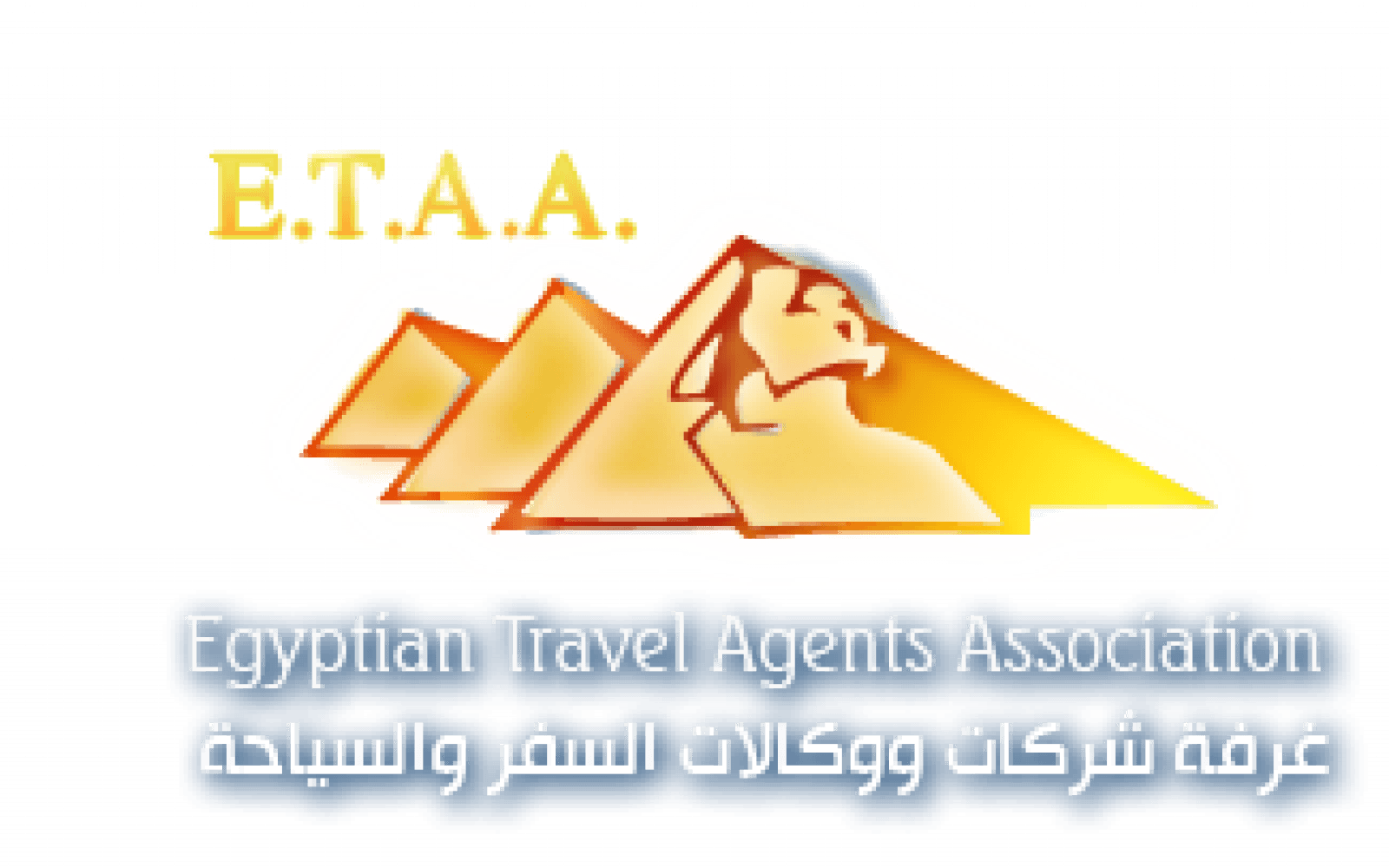 غرفة شركات السياحة: إجراءات مكثفة لحل مشكلة خطابات ضمان الأياتا