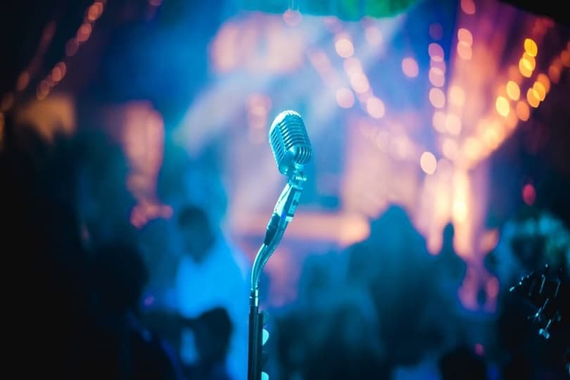 عشاق الموسيقى الأمريكية يسافرون إلى أوروبا للحصول على تذاكر حفلات أرخص.. تفاصيل