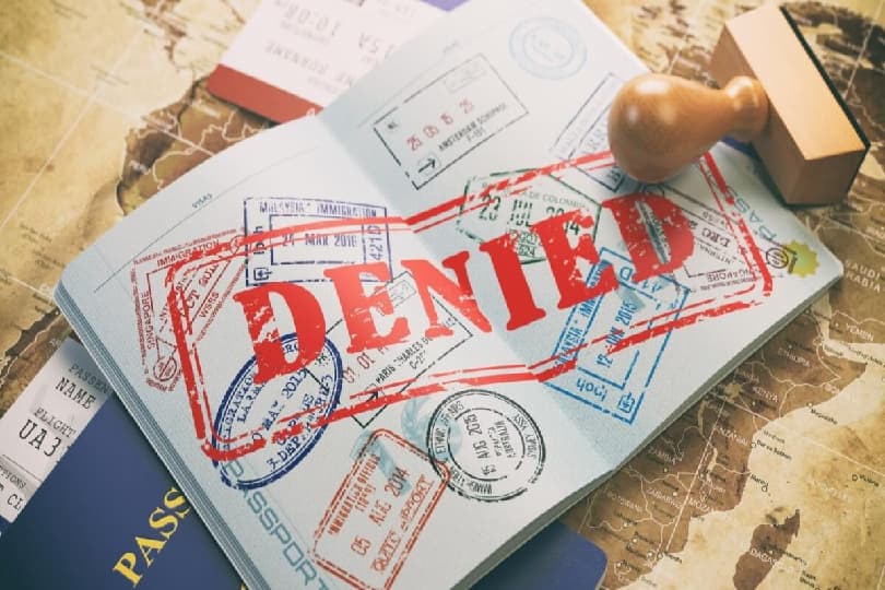 السويد ترفض 31% من طلبات الحصول على تأشيرة شنجن السياحية خلال 2023 حتى أغسطس