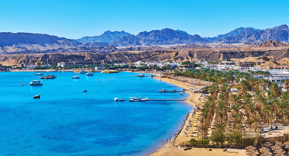 "إيزي جيت" البريطانية تفتح باب حجز رحلات صيف 2021 إلى 5 وجهات منها الغردقة وشرم الشيخ
