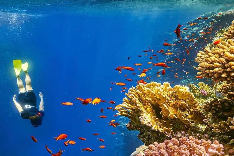 مصر من أفضل الوجهات السياحية للسائح التشيكي.. وآلاف الحجوزات عليها في الصيف