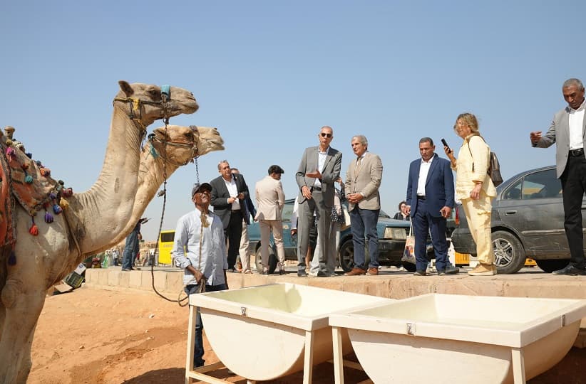 أوراسكوم بيراميدز تتعاقد مع جمعية "بروك" لرعاية الدواب بمنطقة الأهرامات الأثرية.. تفاصيل