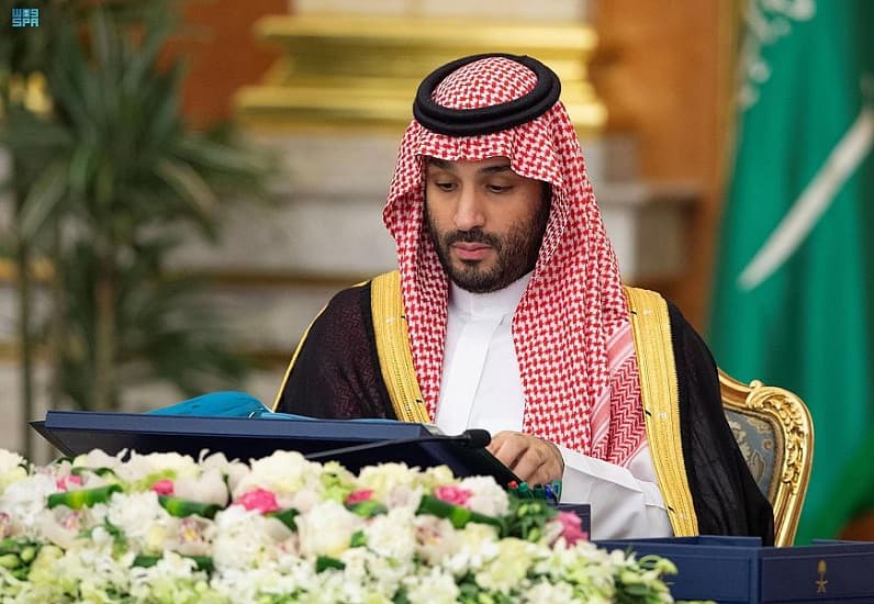 ولي العهد السعودي يعلن إطلاق شركة "اردارا" وأولى مشروعاتها "الوادي" في أبها بمنطقة عسير
